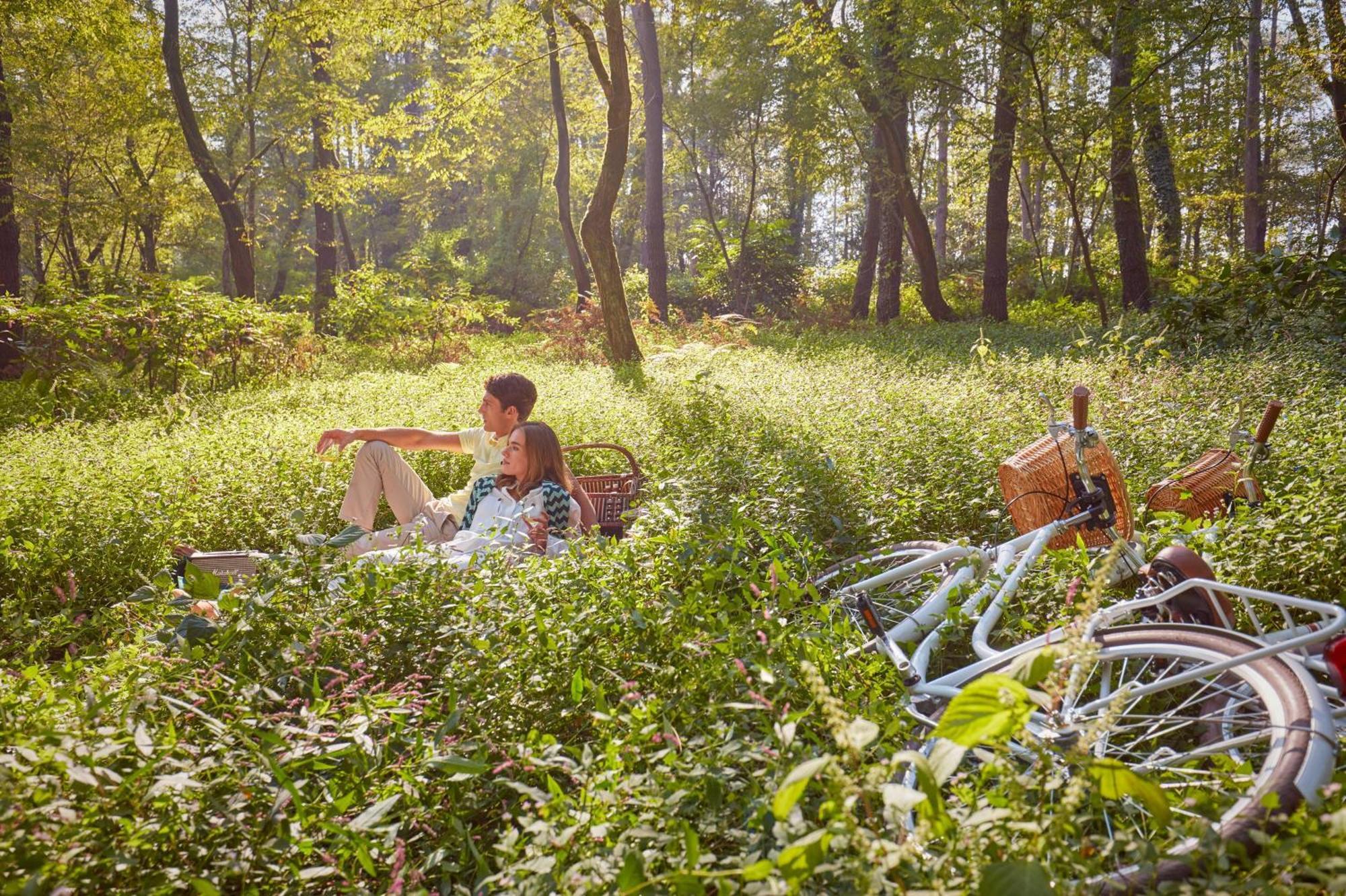 Paragraph Resort & Spa Shekvetili, Autograph Collection Ngoại thất bức ảnh A picnic in the woods