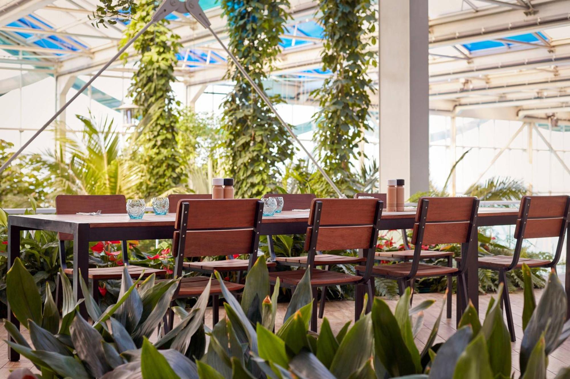 Paragraph Resort & Spa Shekvetili, Autograph Collection Ngoại thất bức ảnh The restaurant