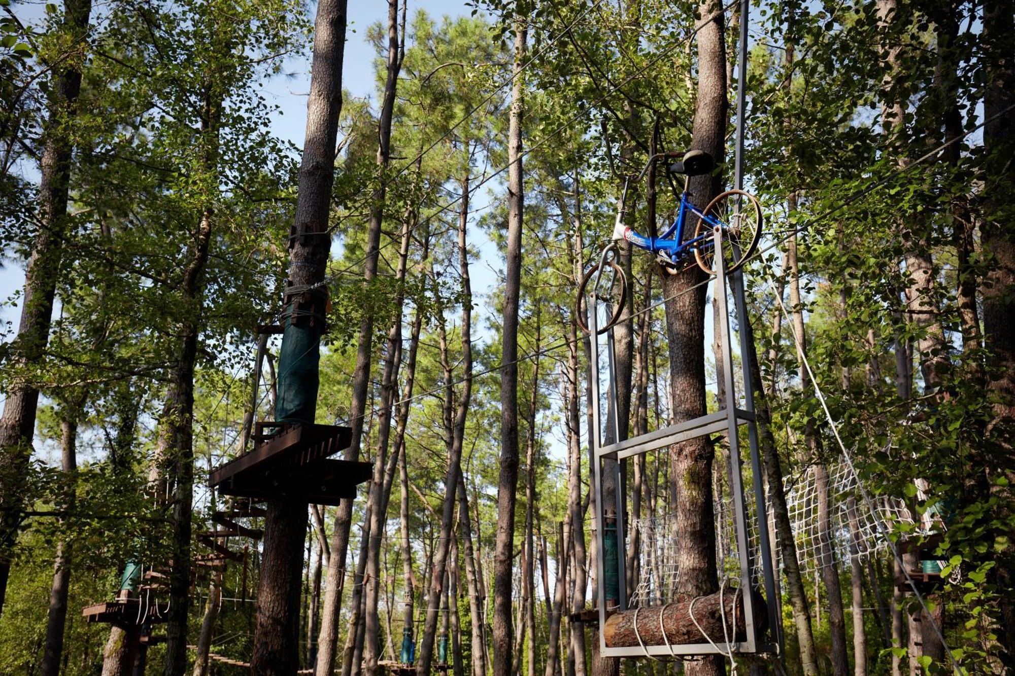 Paragraph Resort & Spa Shekvetili, Autograph Collection Ngoại thất bức ảnh Adventure Park in the forest