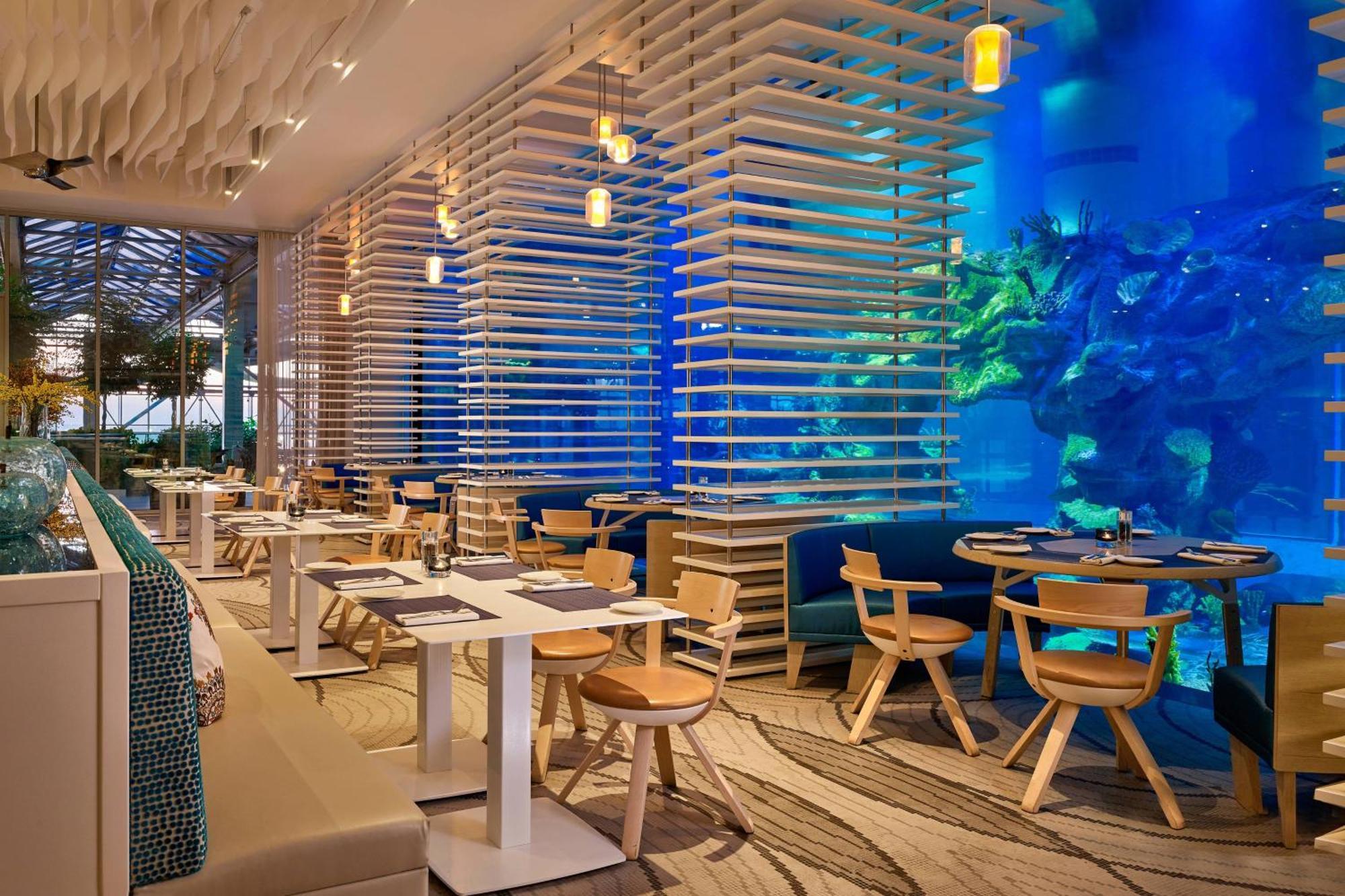 Paragraph Resort & Spa Shekvetili, Autograph Collection Ngoại thất bức ảnh The Lost Chambers Aquarium